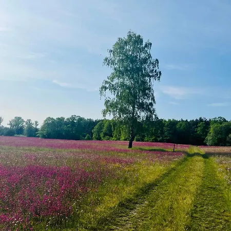 Przystanek Wies Rzasnik Exterior foto